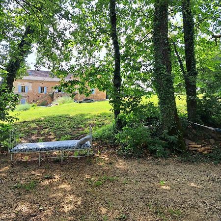 Charmant Studio Dans Maison D'Hote Dans Un Ecrin De Verdure 圣马丁勒瑞杜 外观 照片