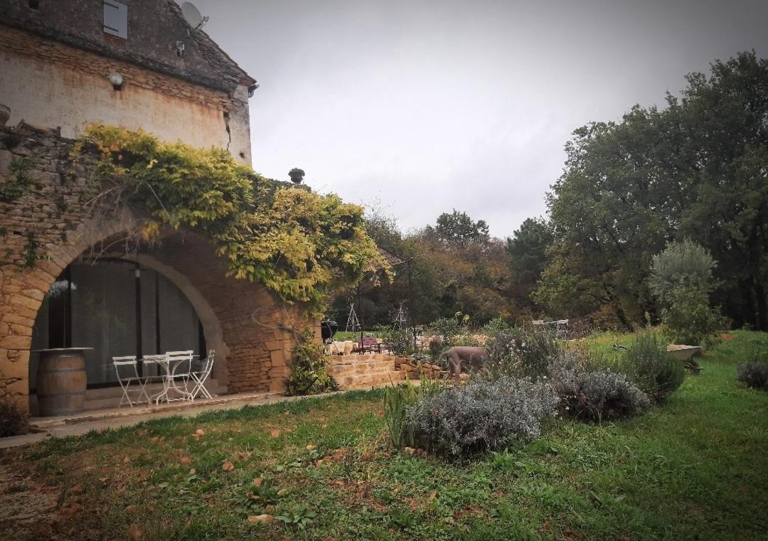 Charmant Studio Dans Maison D'Hote Dans Un Ecrin De Verdure 圣马丁勒瑞杜 外观 照片