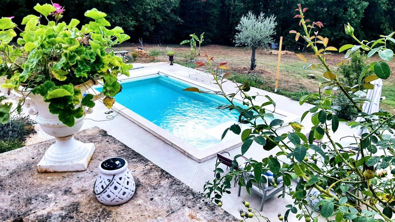 Charmant Studio Dans Maison D'Hote Dans Un Ecrin De Verdure 圣马丁勒瑞杜 外观 照片