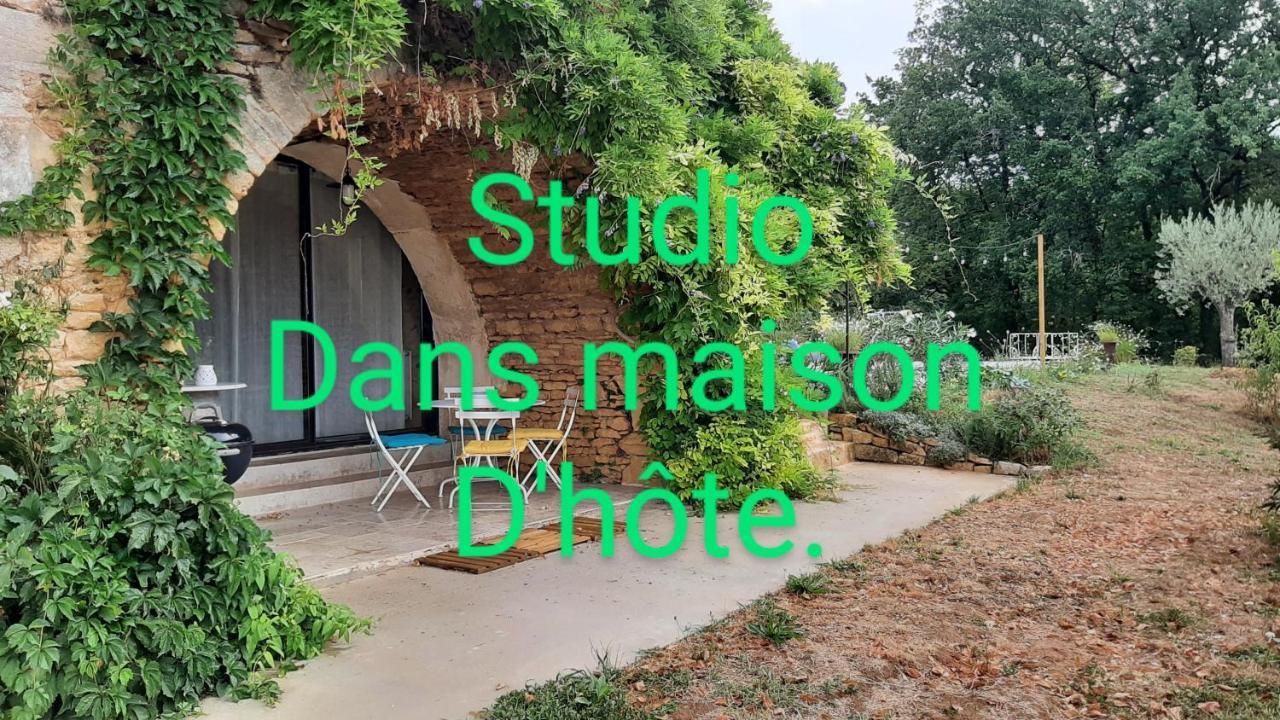 Charmant Studio Dans Maison D'Hote Dans Un Ecrin De Verdure 圣马丁勒瑞杜 外观 照片